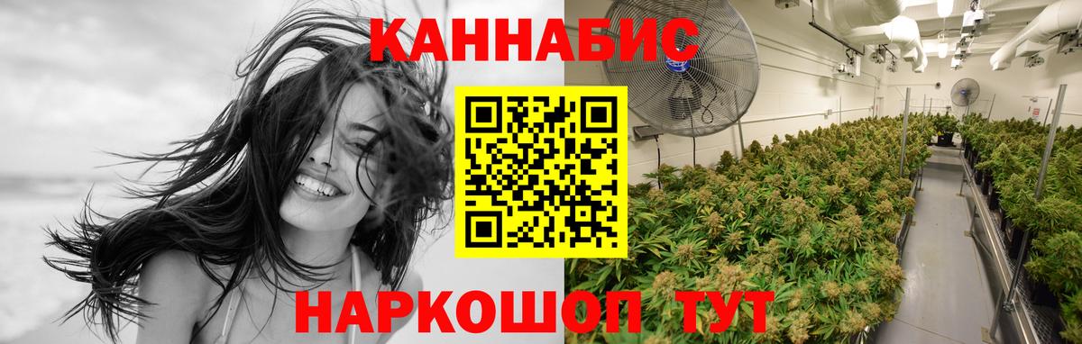 Шишки марихуана Amnesia  Вход с VPN  Всеволожск  Бошки Шишки планчик  МАРИХУАНА планчик 